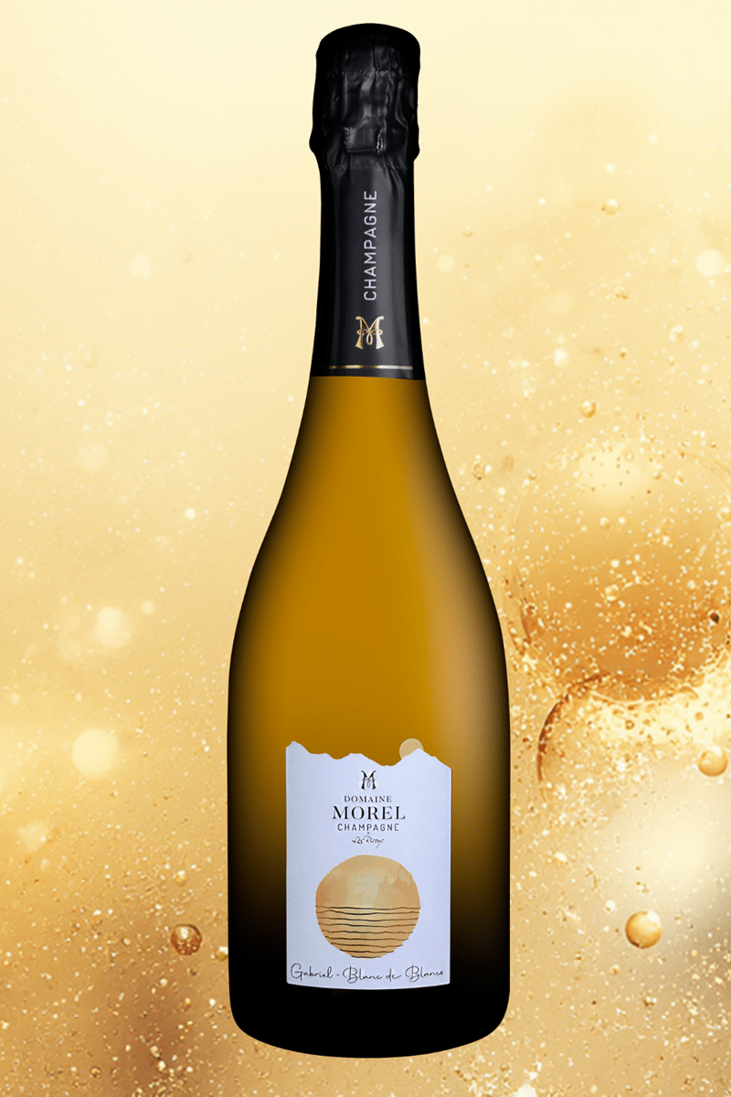 Champagne Morel Gabriel